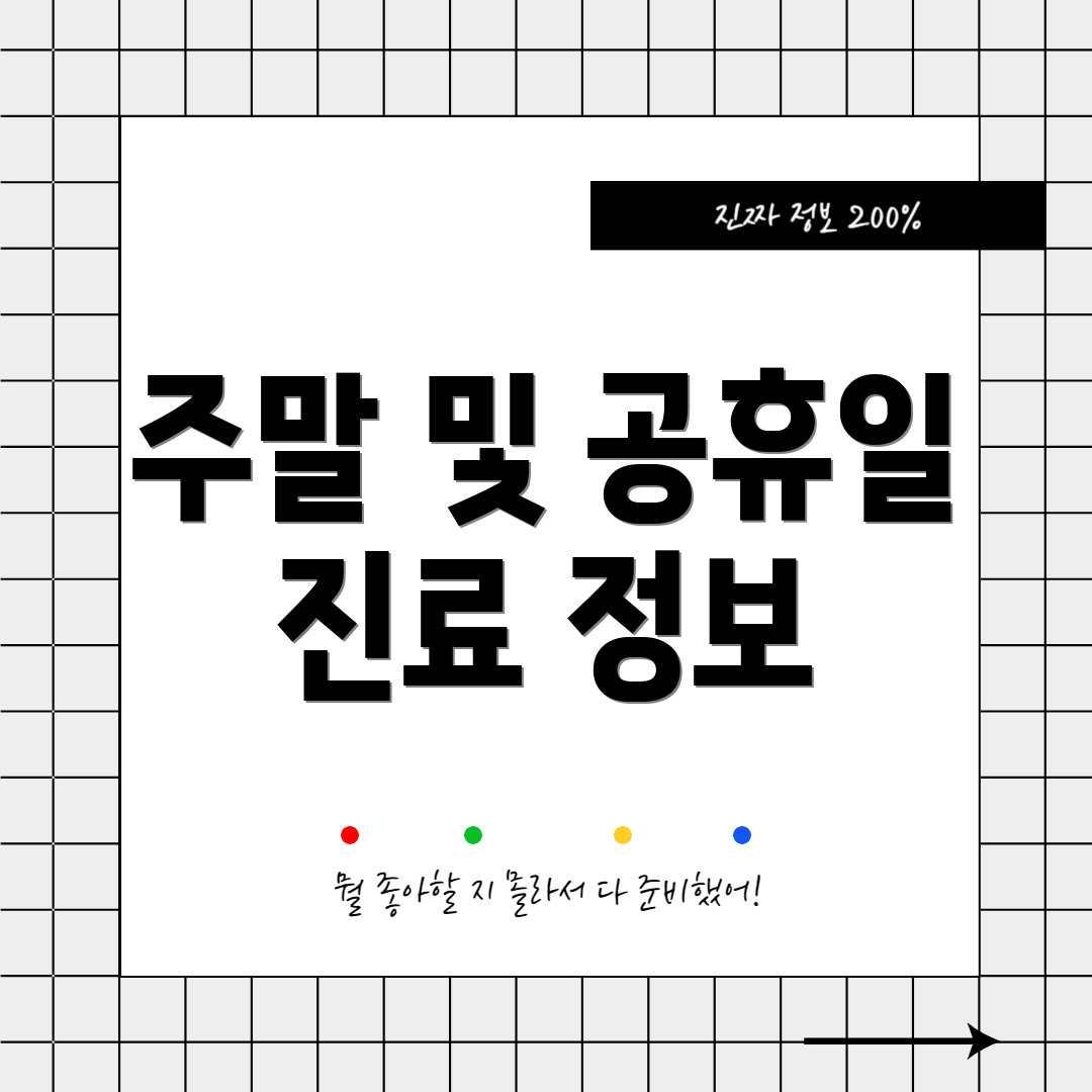 주말 및 공휴일 진료 정보