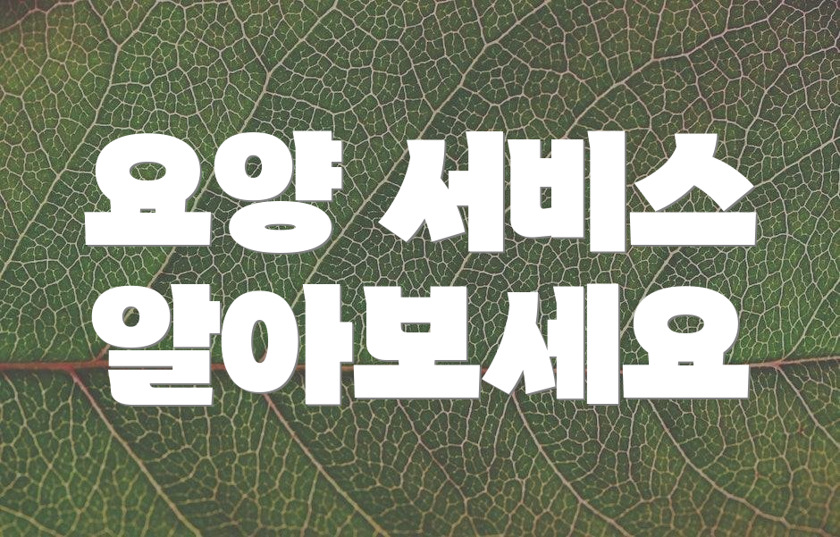 요양 서비스 알아보세요