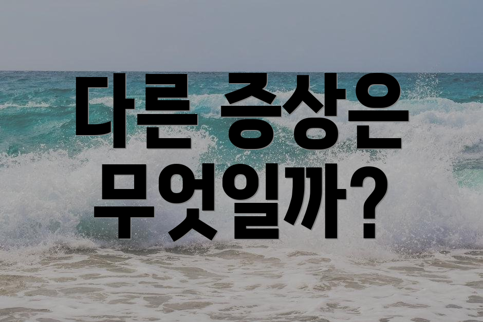 다른 증상은 무엇일까?