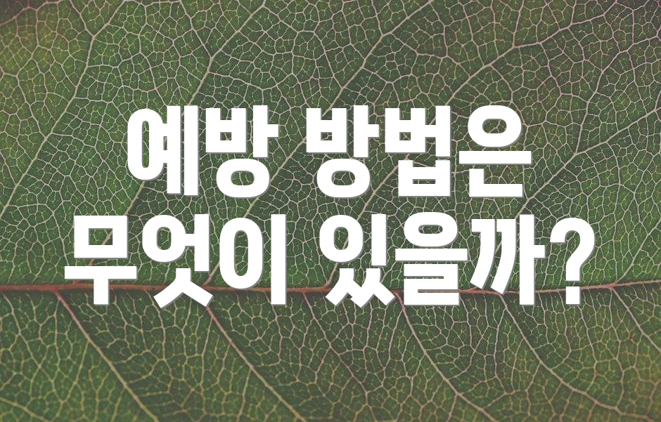 예방 방법은 무엇이 있을까?