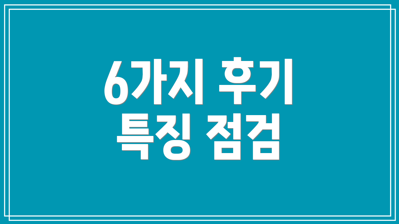 6가지 후기 특징 점검