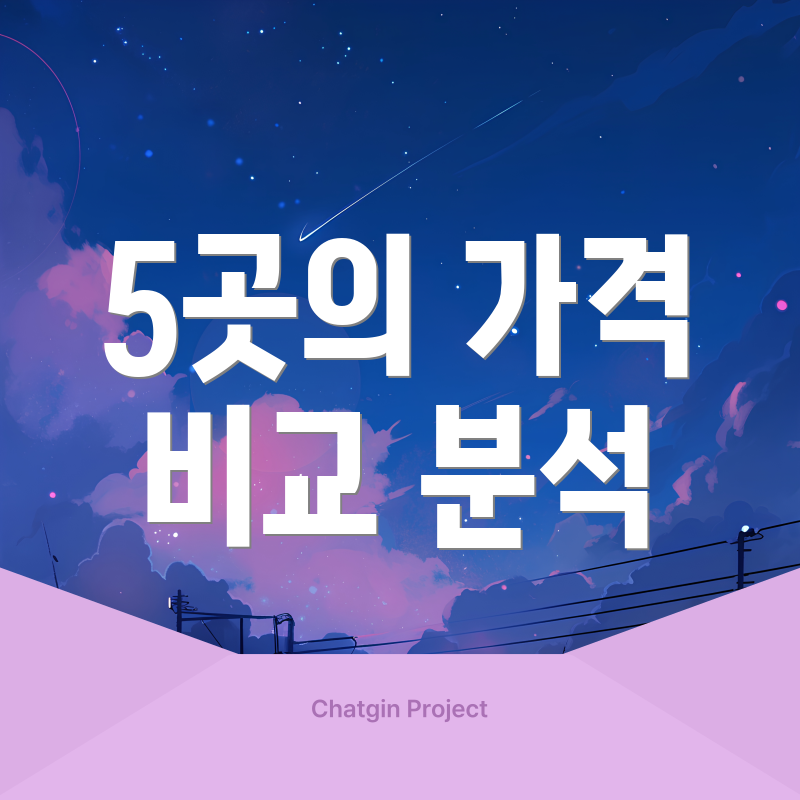 5곳의 가격 비교 분석