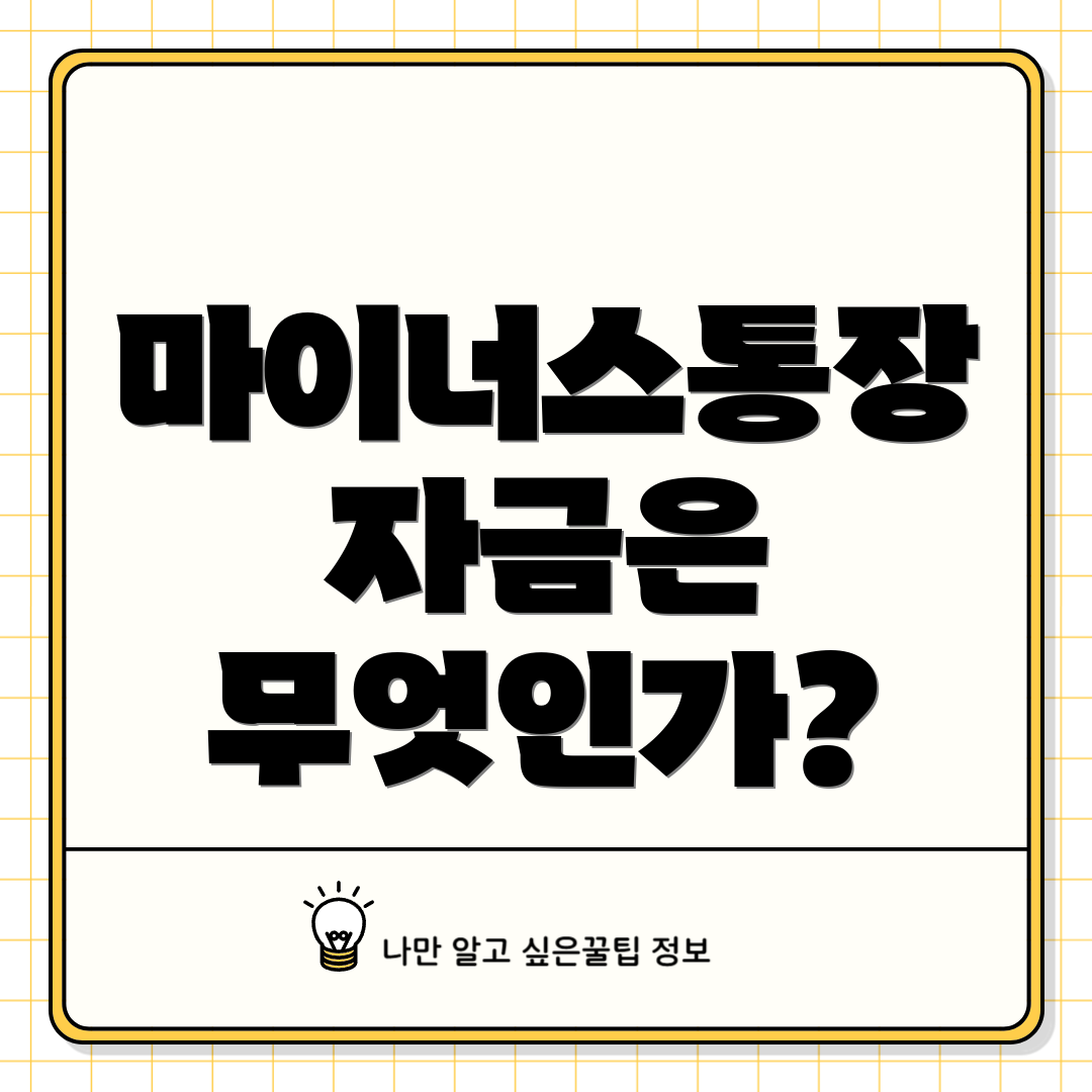 마이너스통장 자금은 무엇인가?