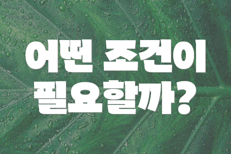 어떤 조건이 필요할까?