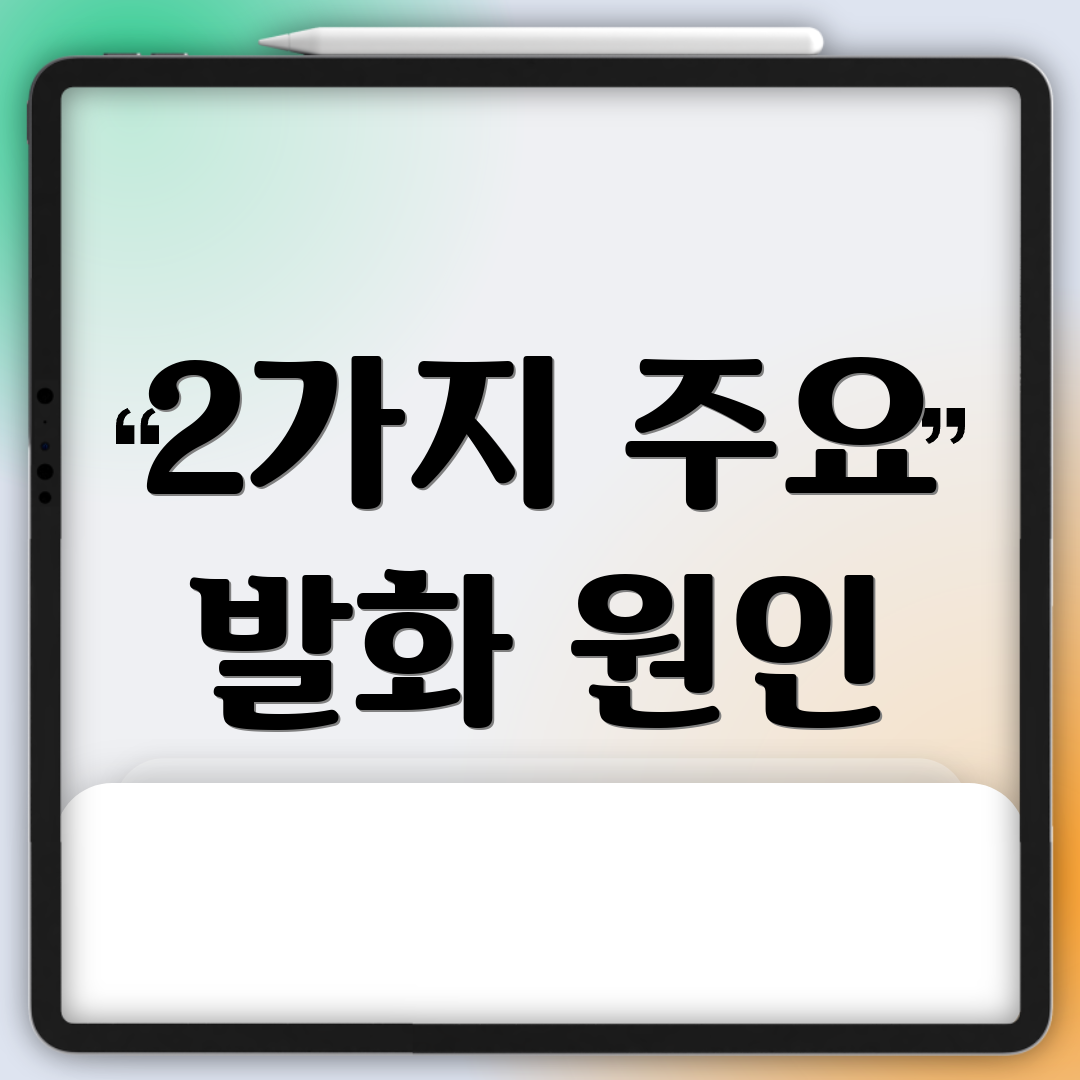 2가지 주요 발화 원인