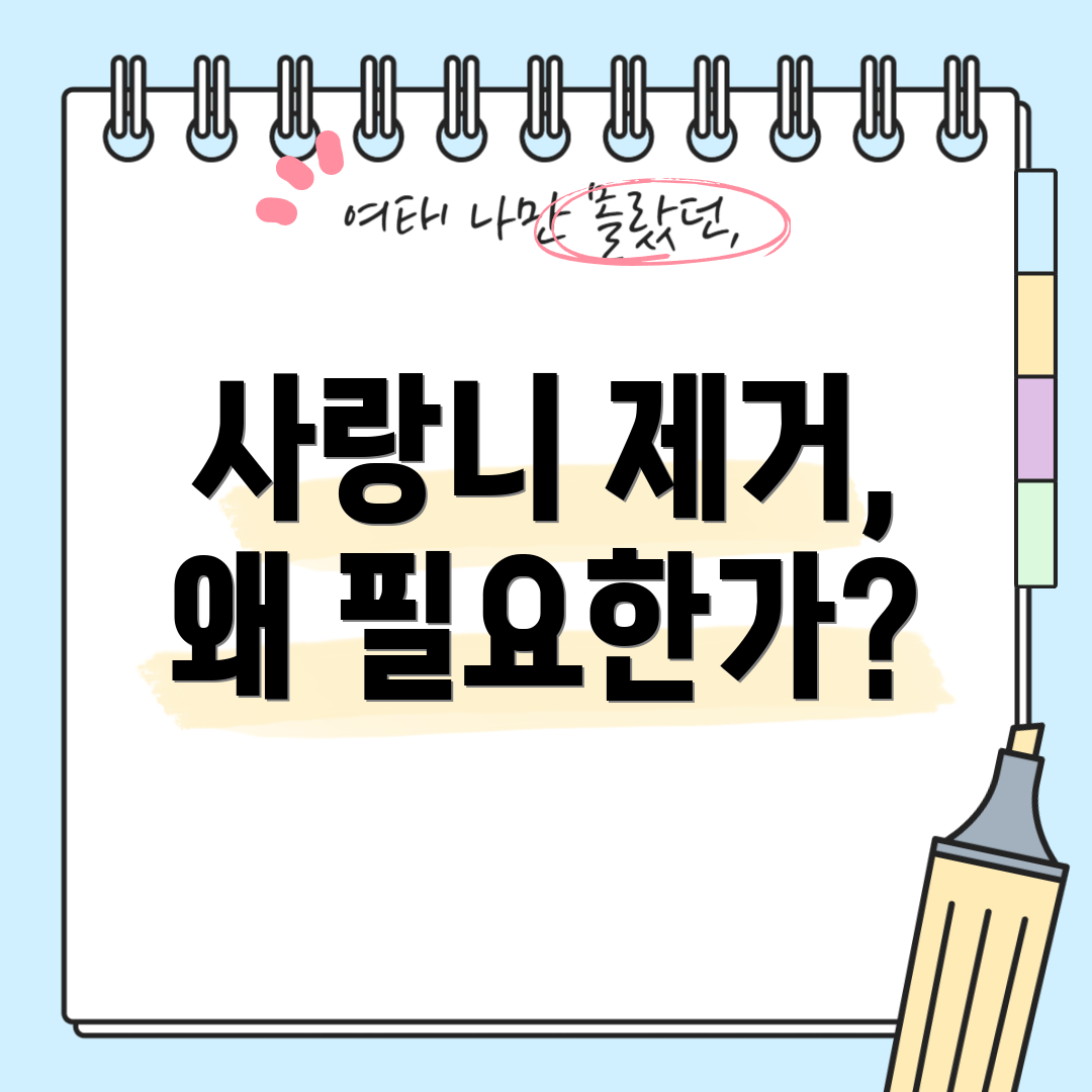 사랑니 제거, 왜 필요한가?