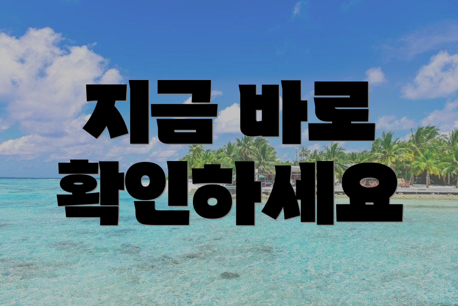 지금 바로 확인하세요