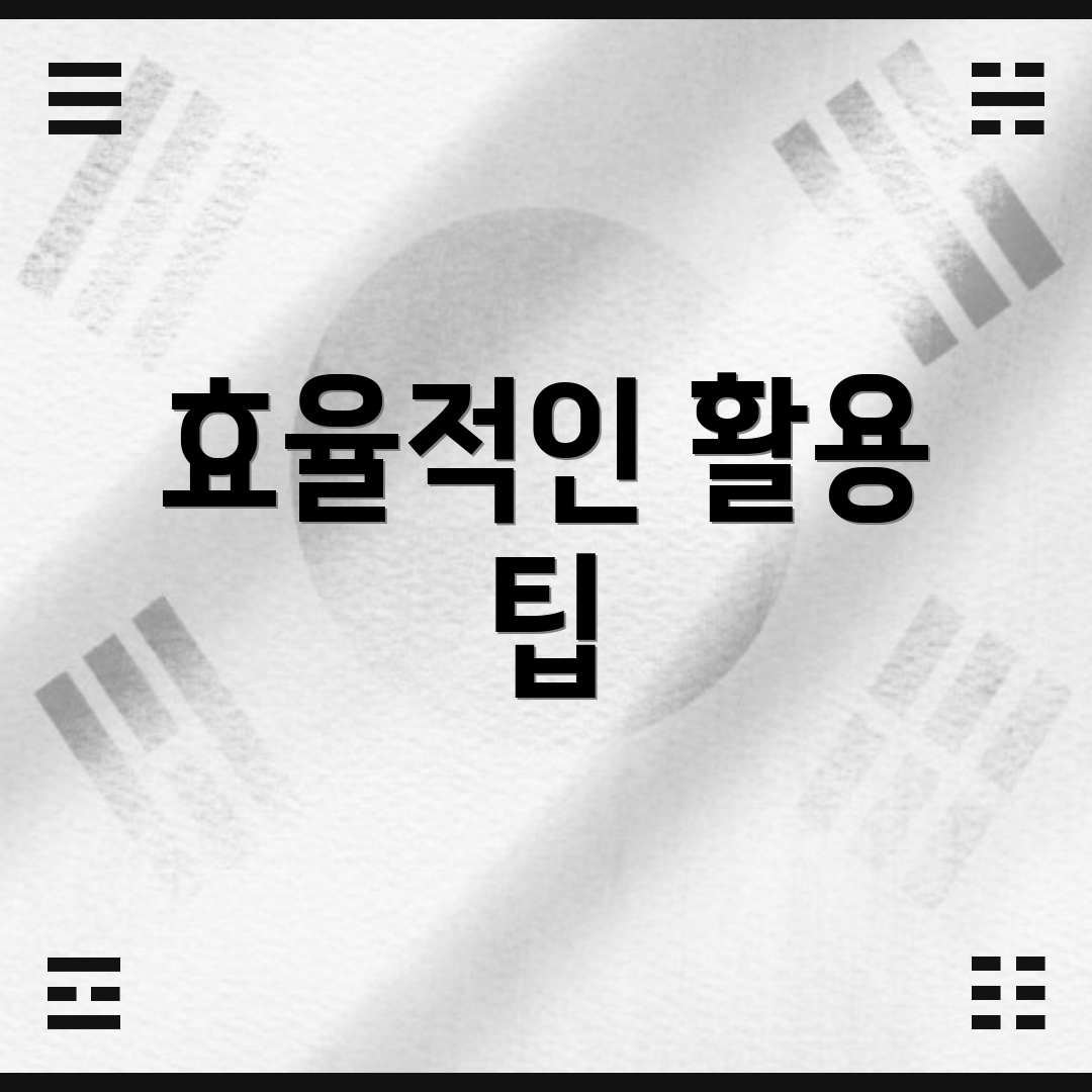 효율적인 활용 팁