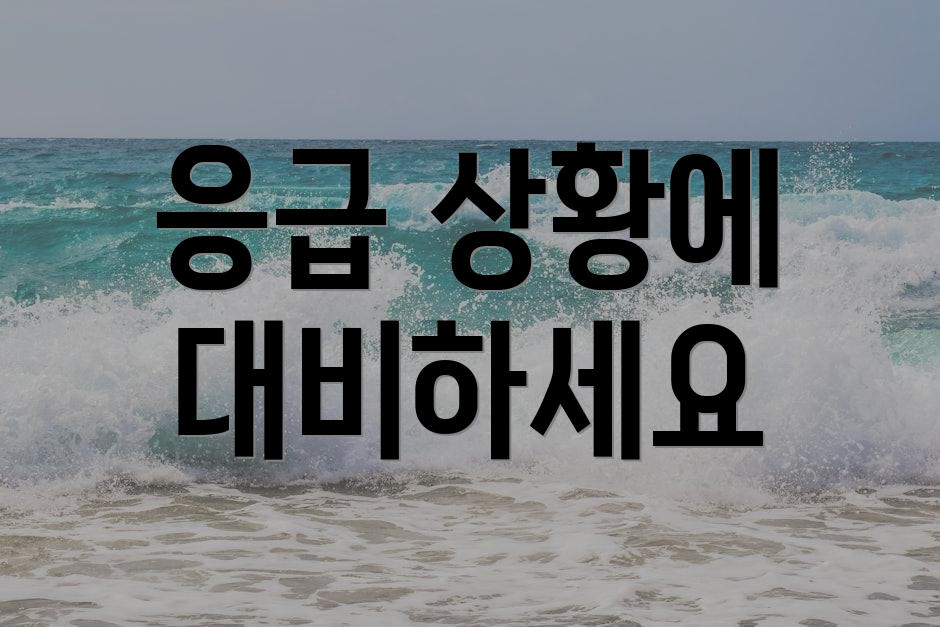 응급 상황에 대비하세요