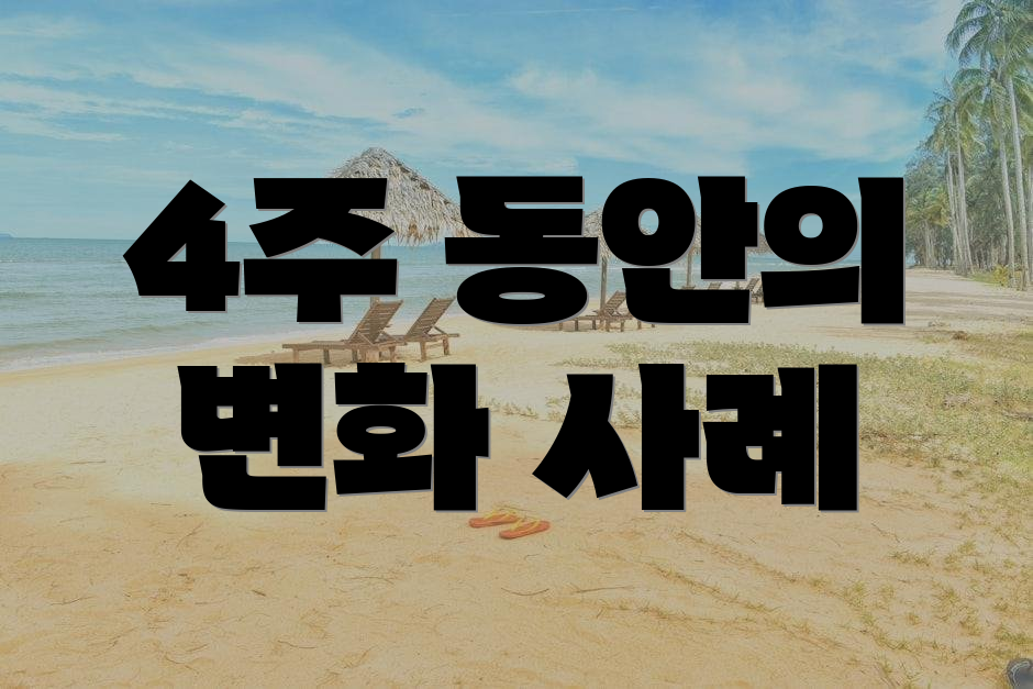 4주 동안의 변화 사례