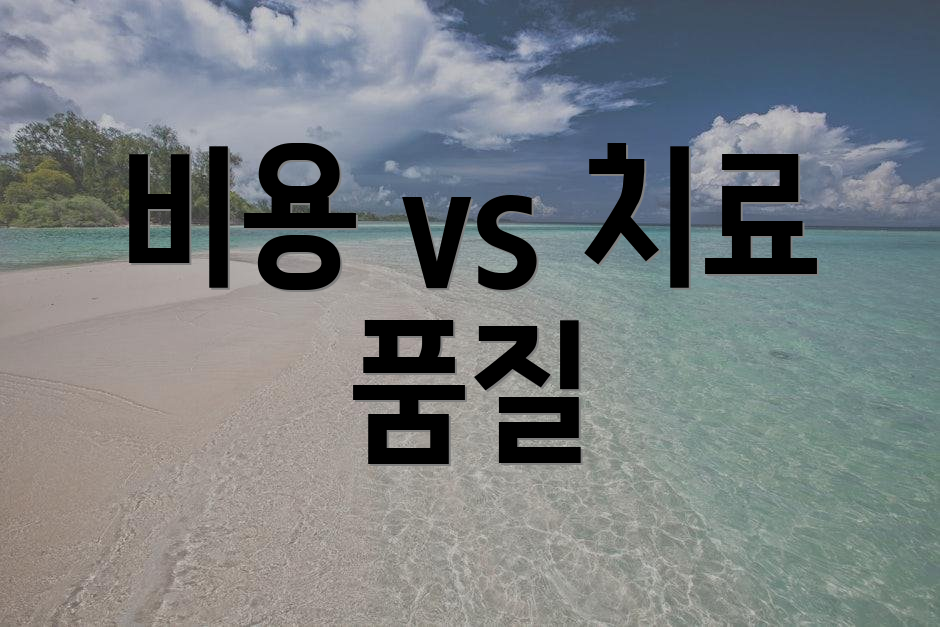 비용 vs 치료 품질