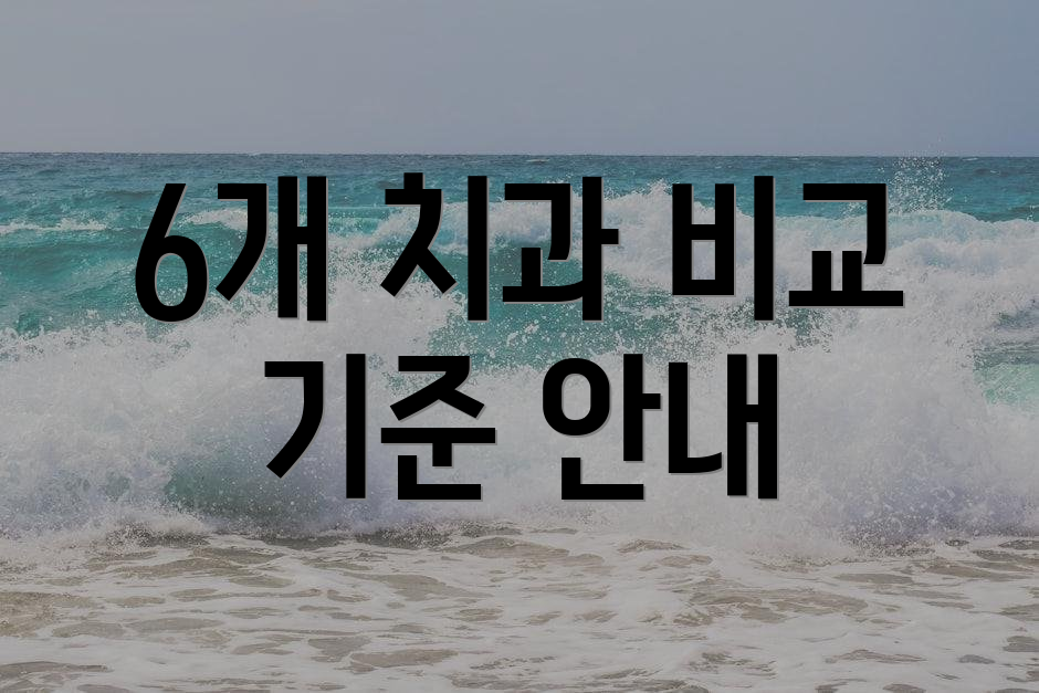 6개 치과 비교 기준 안내