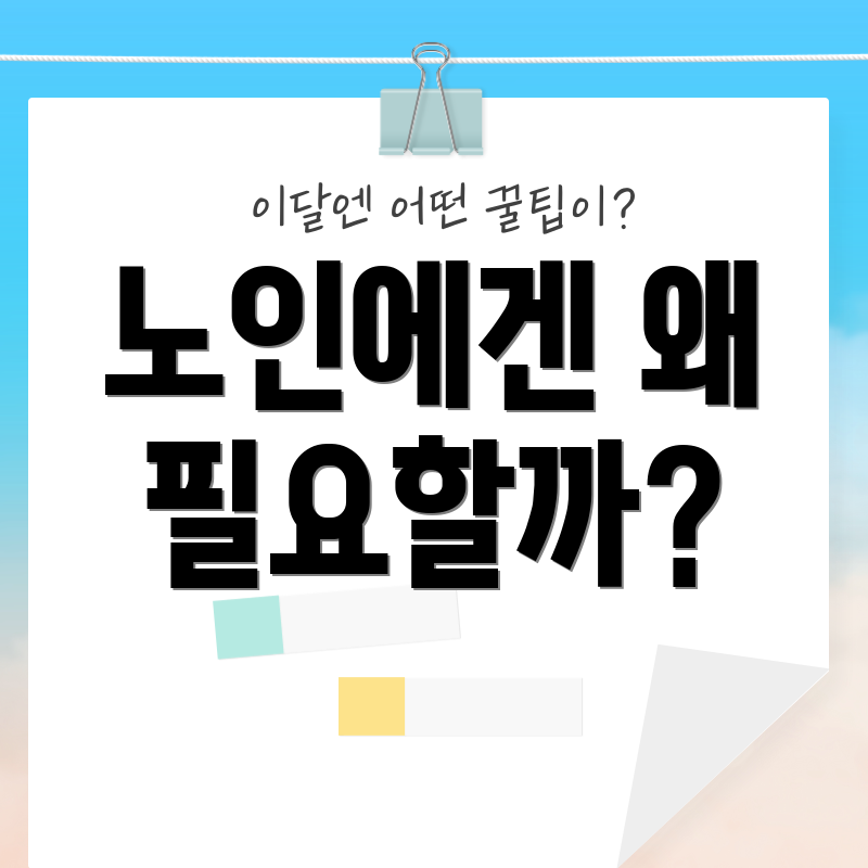 노인에겐 왜 필요할까?