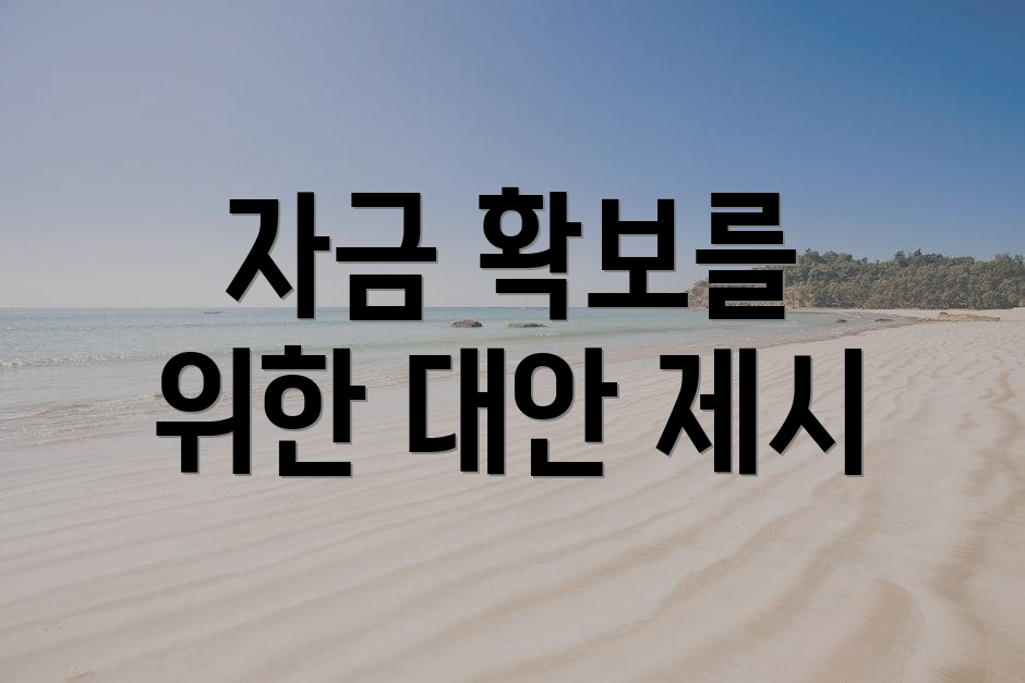자금 확보를 위한 대안 제시
