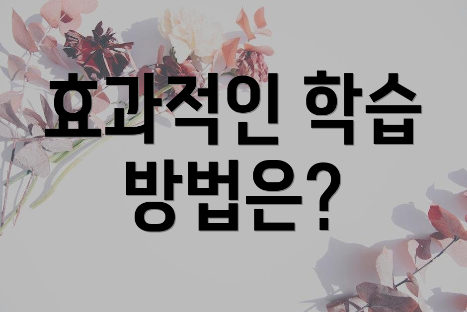 효과적인 학습 방법은?