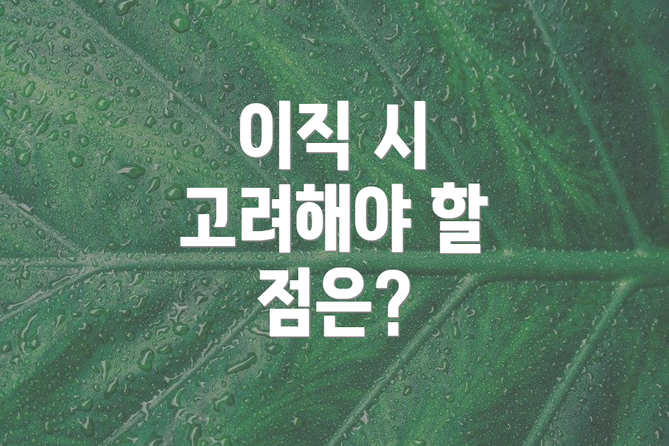 이직 시 고려해야 할 점은?