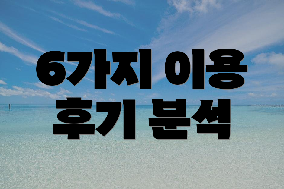 6가지 이용 후기 분석