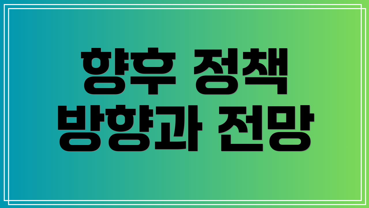 향후 정책 방향과 전망