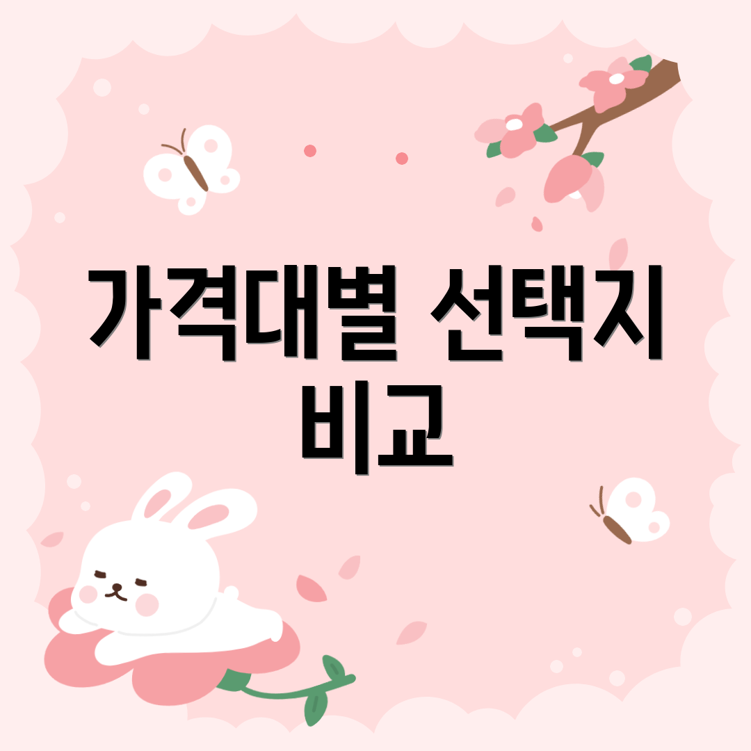 가격대별 선택지 비교