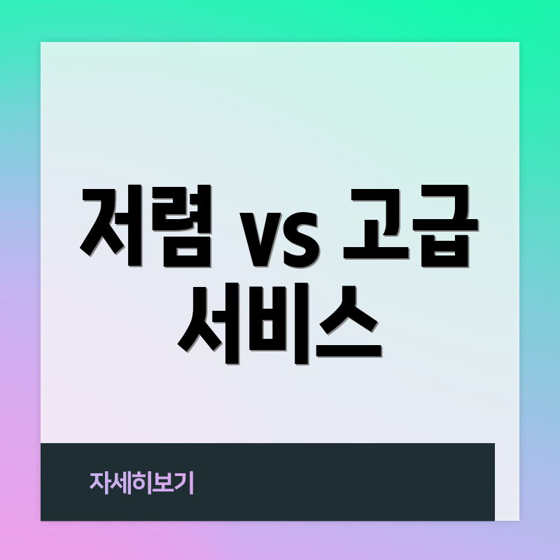 저렴 vs 고급 서비스