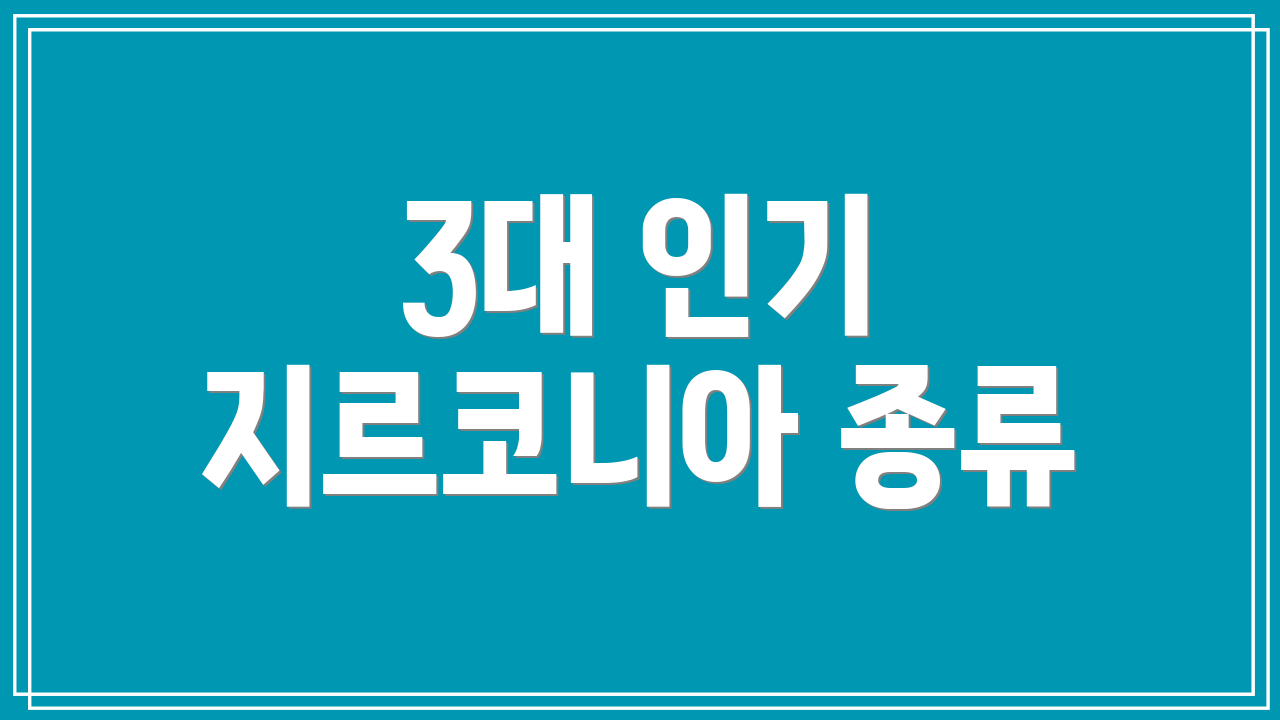 3대 인기 지르코니아 종류