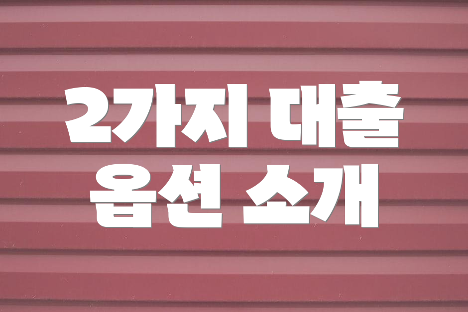 2가지 대출 옵션 소개