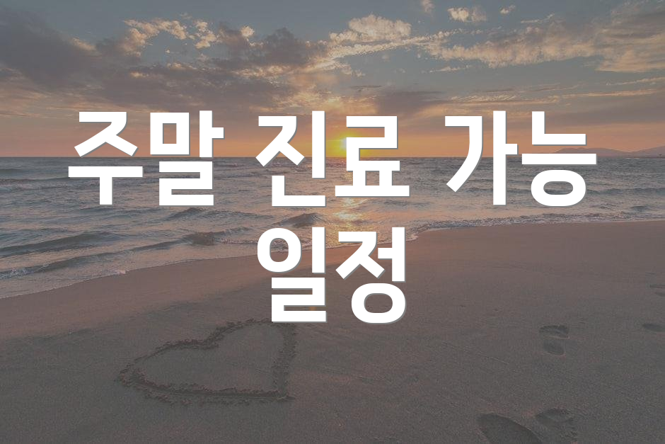 주말 진료 가능 일정