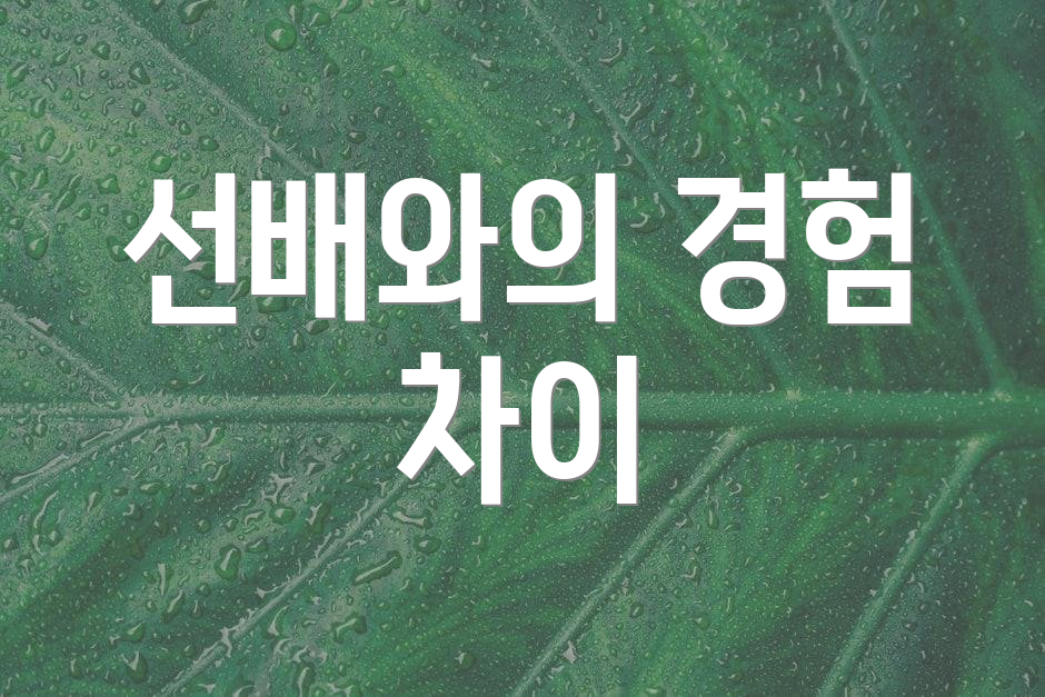 선배와의 경험 차이