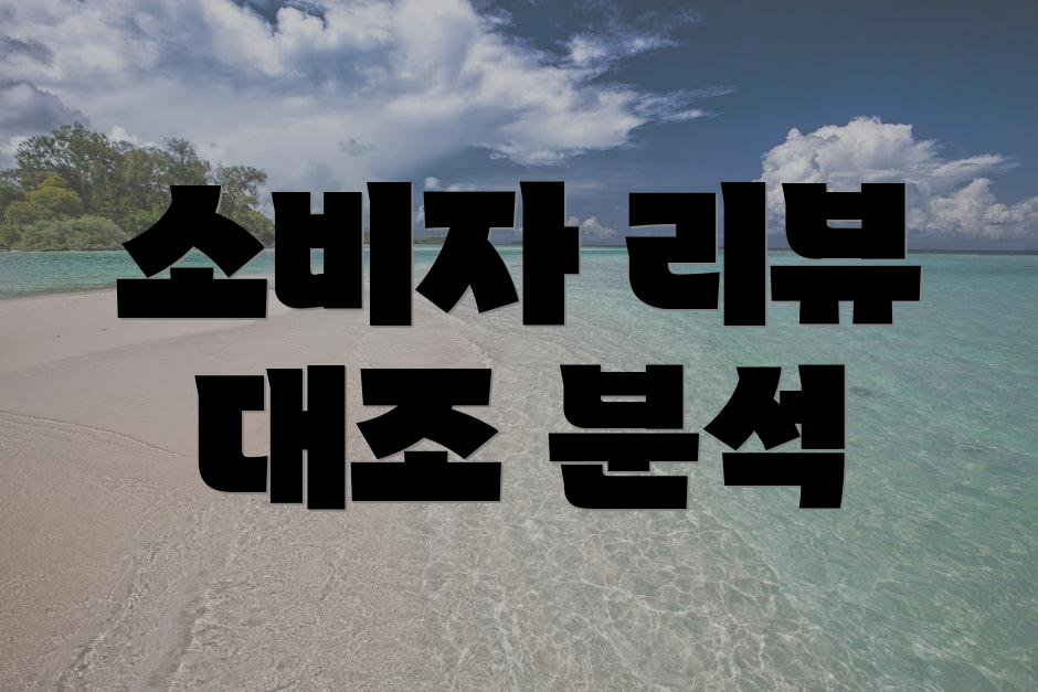 소비자 리뷰 대조 분석