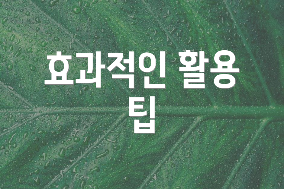 효과적인 활용 팁