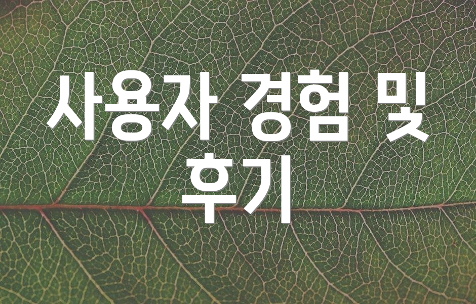 사용자 경험 및 후기