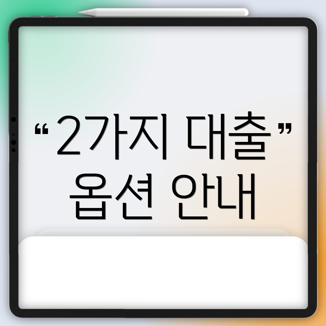 2가지 대출 옵션 안내