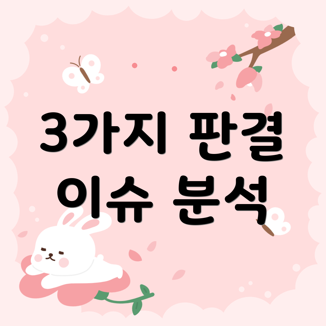 3가지 판결 이슈 분석