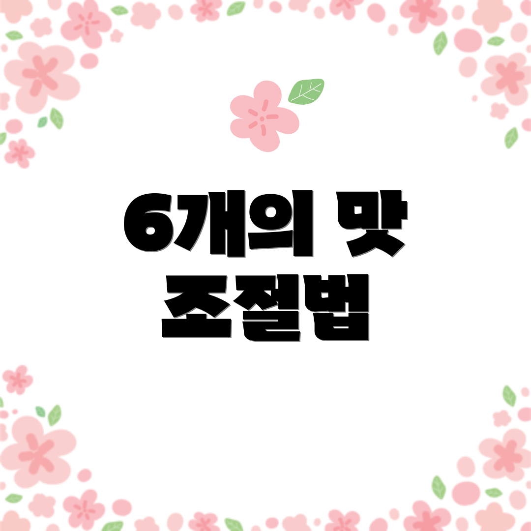 6개의 맛 조절법