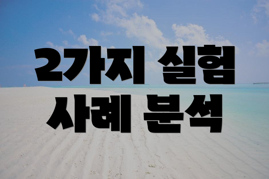 2가지 실험 사례 분석