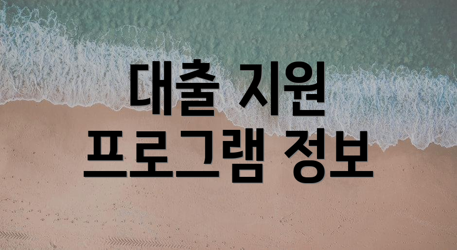 대출 지원 프로그램 정보