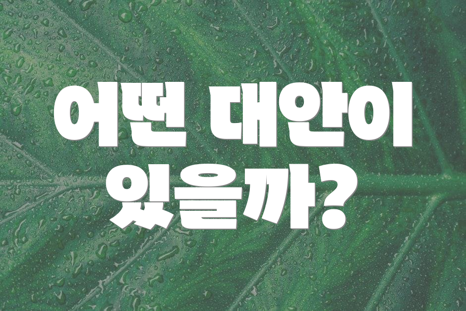 어떤 대안이 있을까?