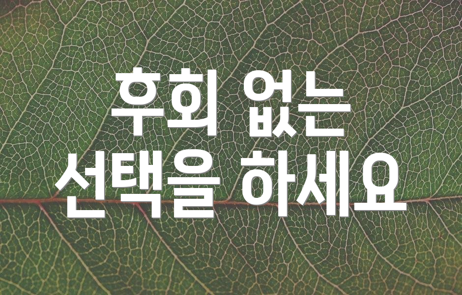 후회 없는 선택을 하세요