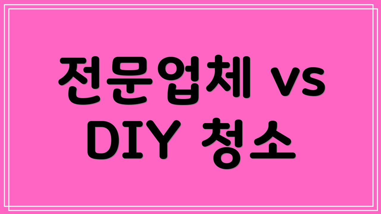 전문업체 vs DIY 청소