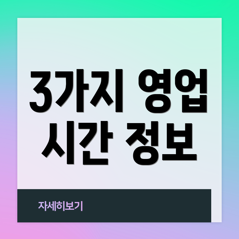 3가지 영업 시간 정보