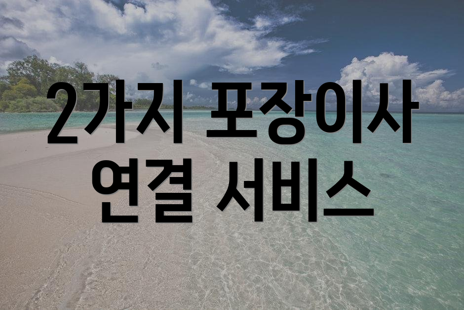 2가지 포장이사 연결 서비스