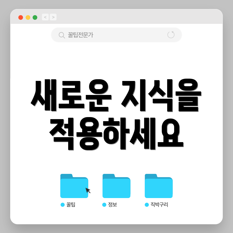 새로운 지식을 적용하세요