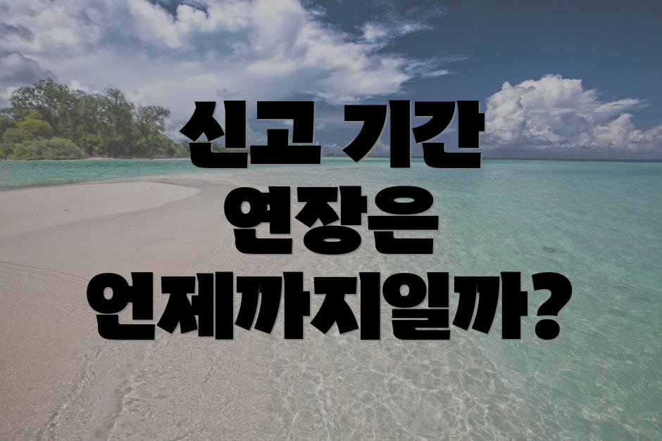 신고 기간 연장은 언제까지일까?