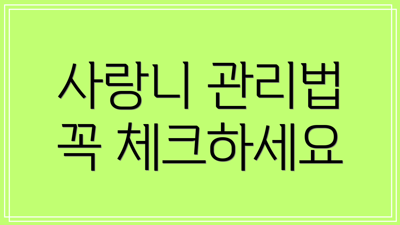 사랑니 관리법 꼭 체크하세요