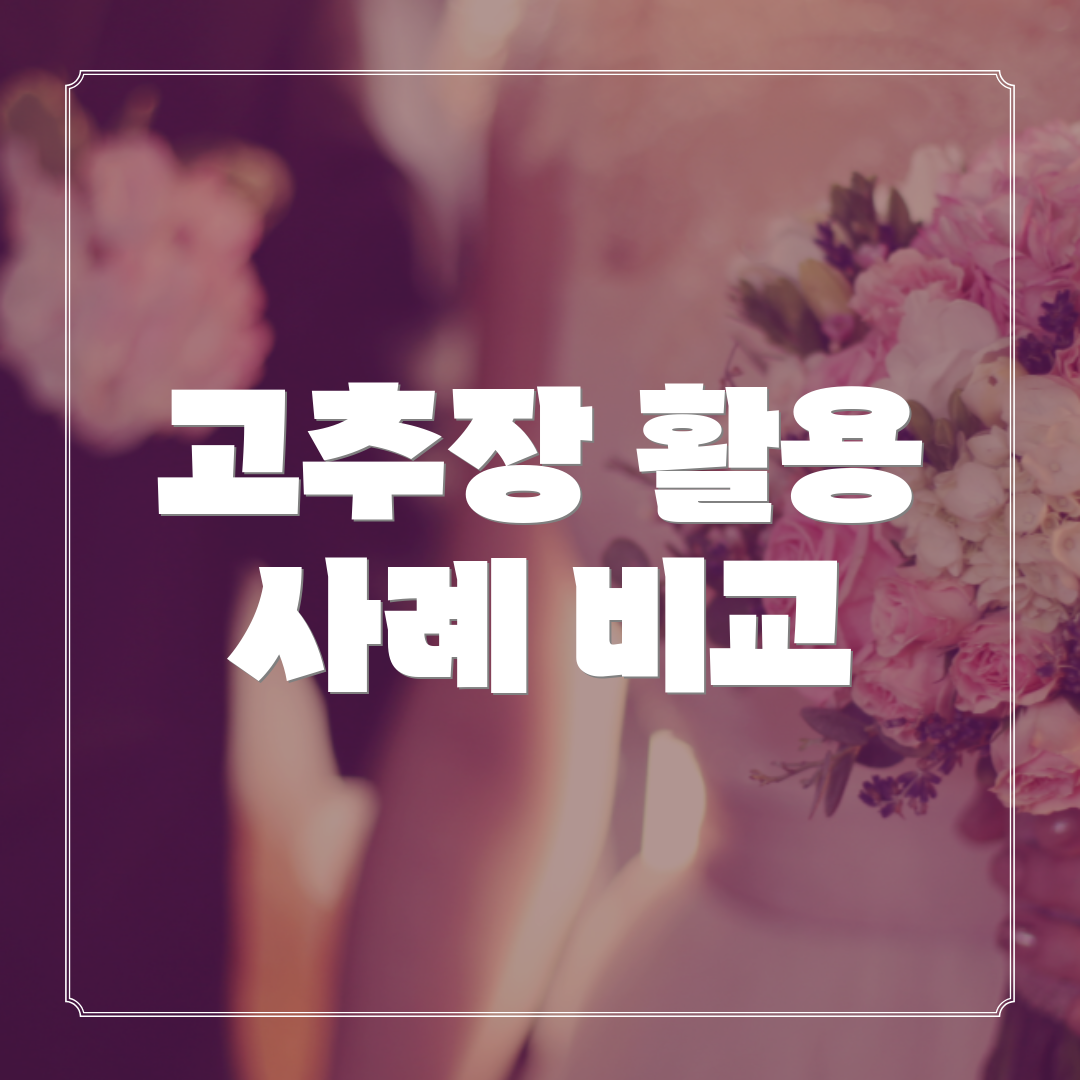 고추장 활용 사례 비교