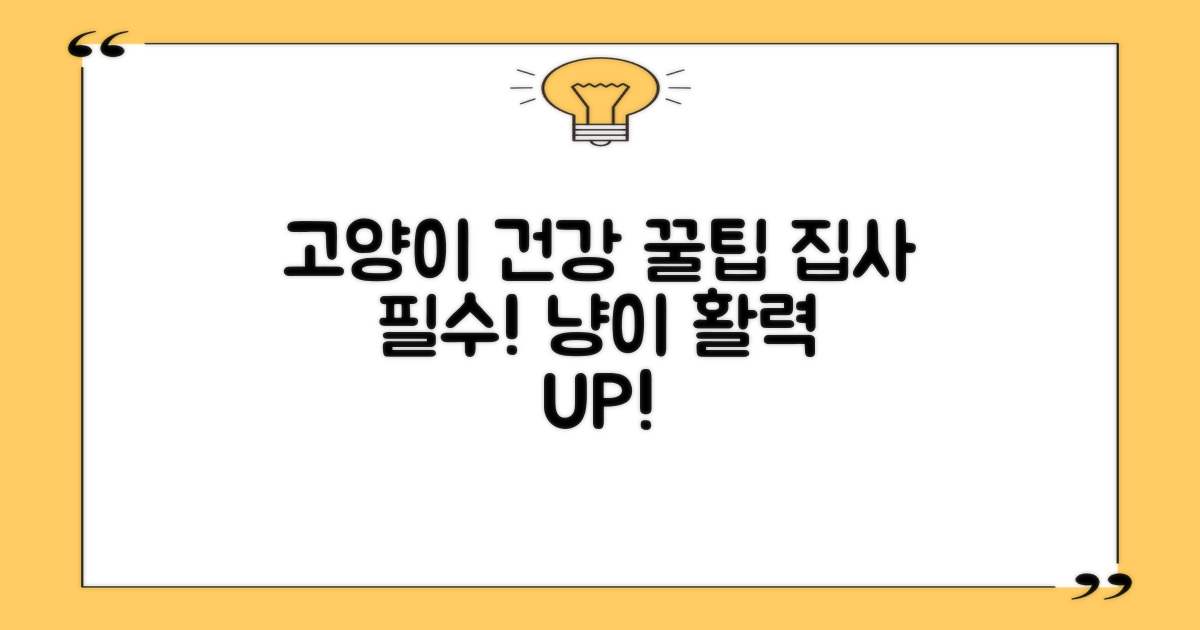 고양이 건강을 챙기세요