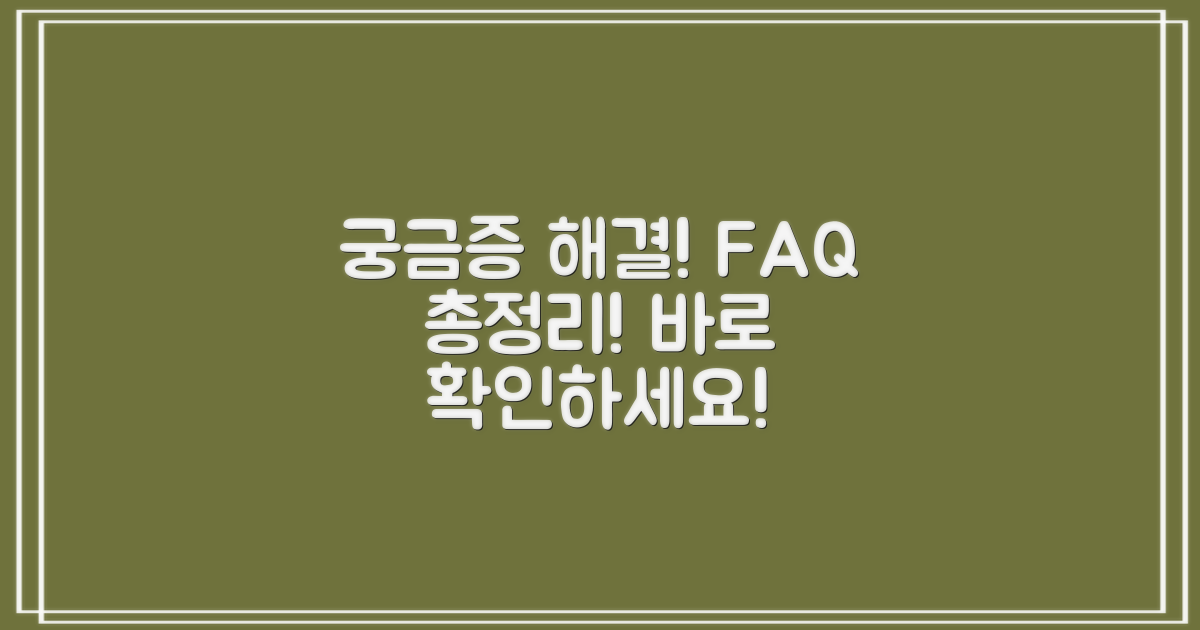 자주 묻는 질문