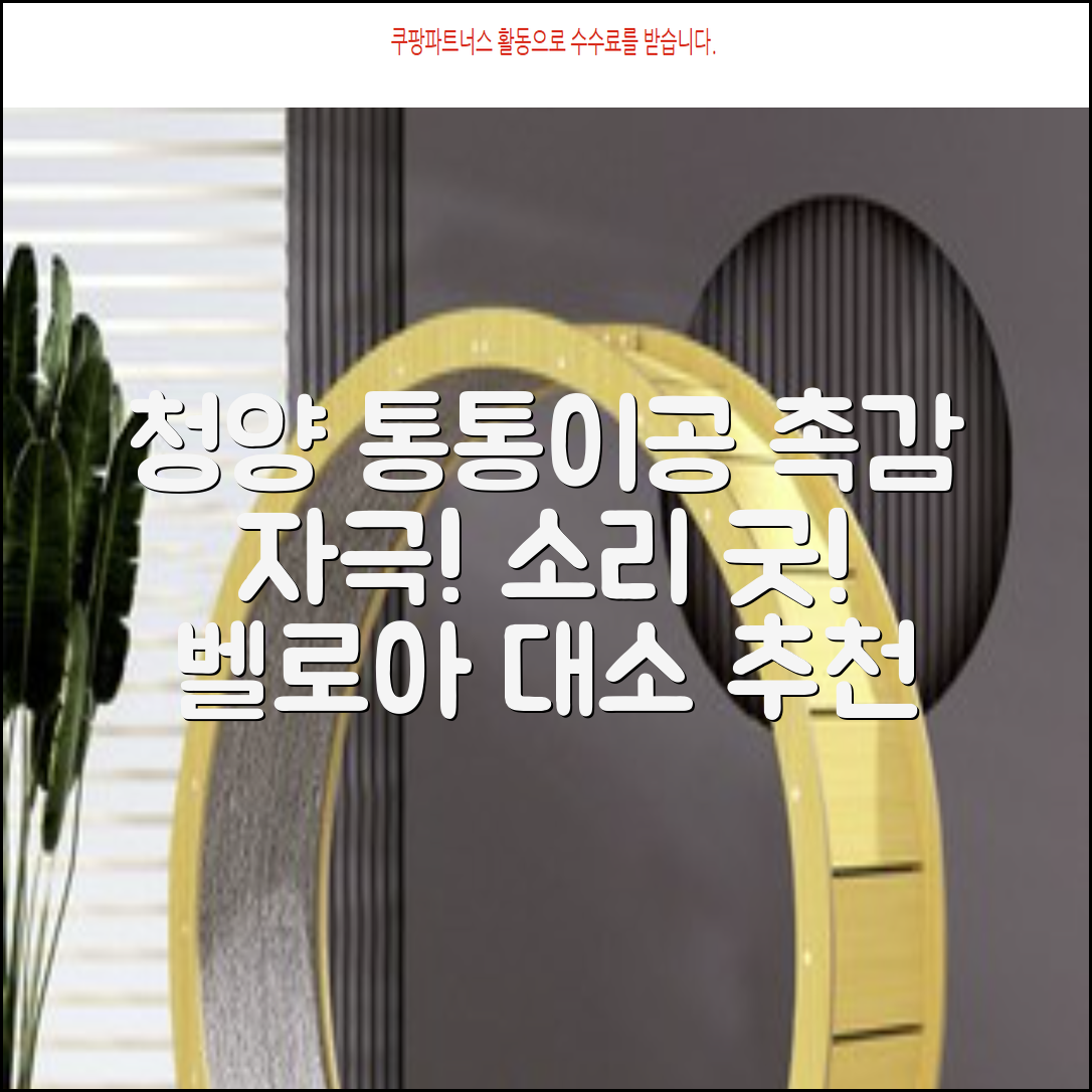청양 통통이공大/小 소리나는 촉감자극공 벨로아 소재, 통통이공-대, 1개 추천 리뷰