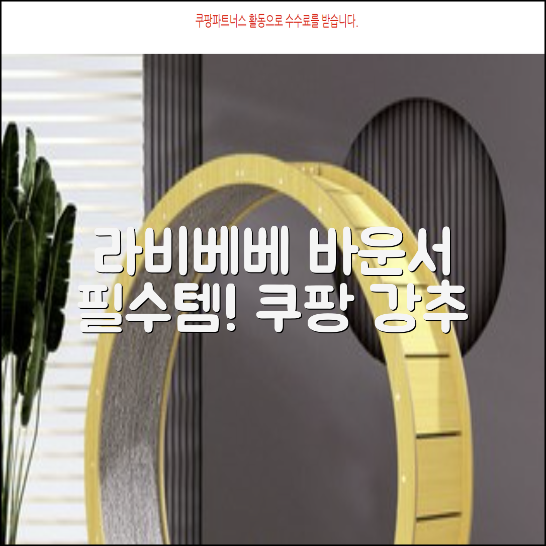라비베베 세이프 바운서 추천 리뷰