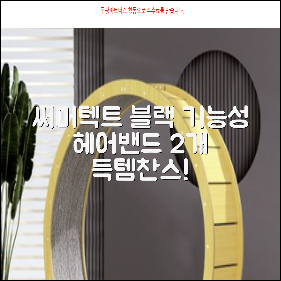 써머텍트 기능성 헤어밴드, 블랙, 2개 추천 리뷰